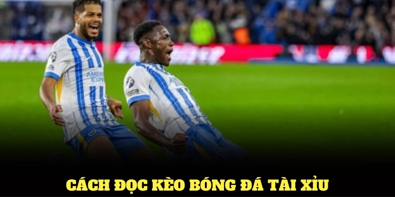 Cách đọc kèo bóng đá tài xỉu cơ bản nhất