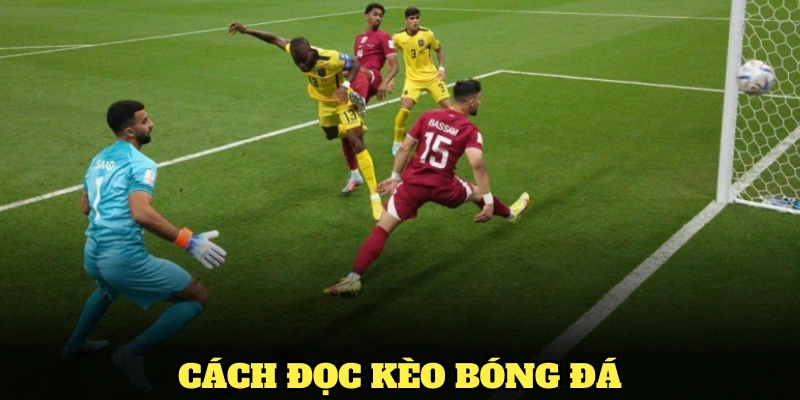 Cách đọc kèo bóng đá